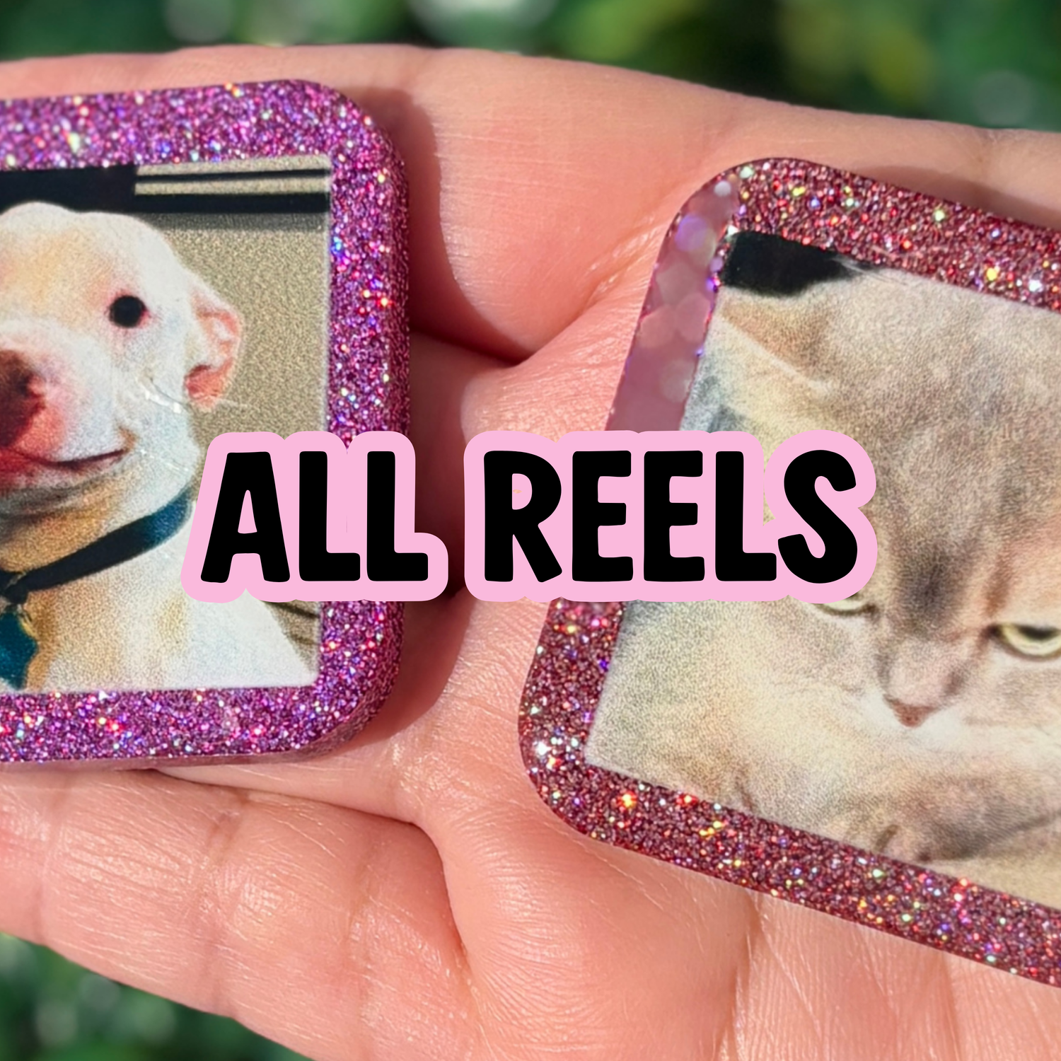 All Reels✨